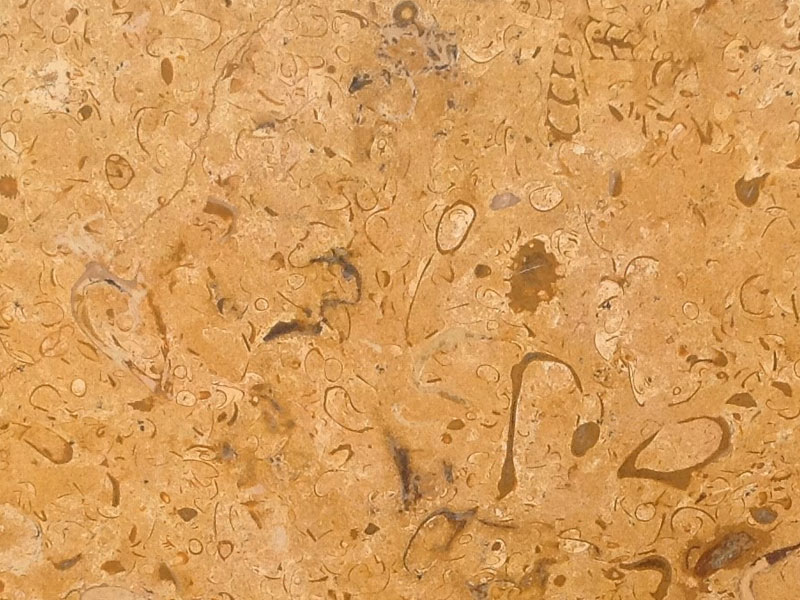 Jaisalmer Yellow